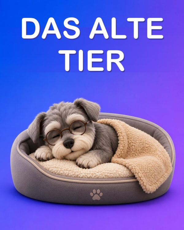 Pflege für alte Haustiere mit KI