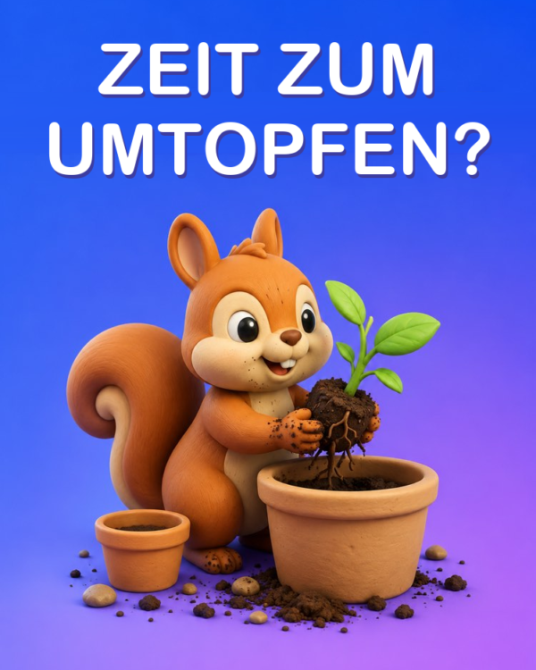Umtopfen: wann und wie es geht, mit KI