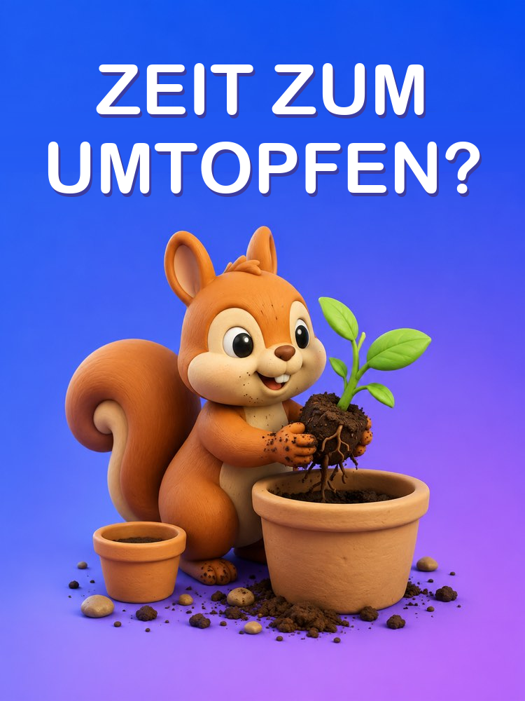 Umtopfen: wann und wie es geht, mit KI