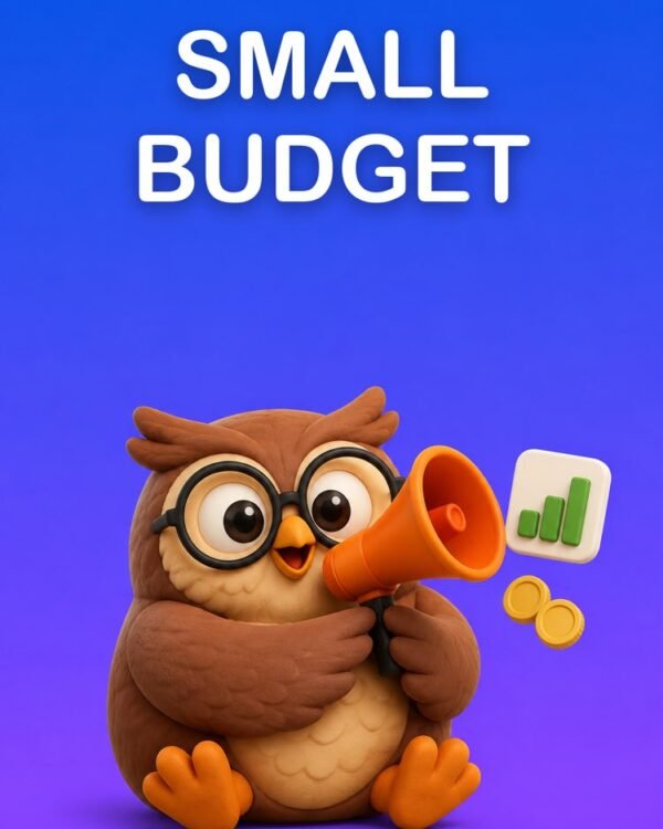 Ad Campaign Without Burning Your Budget