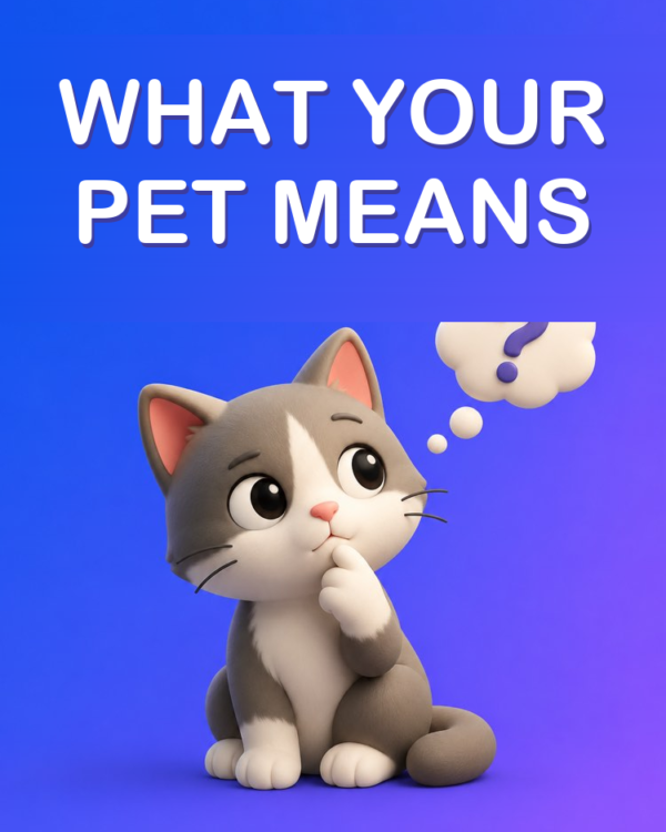 Decode Your Pet’s Behaviour with AI