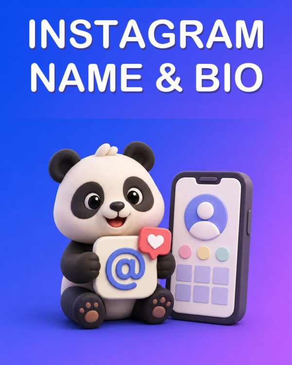 Name and Bio for a Business Profile on Instagram