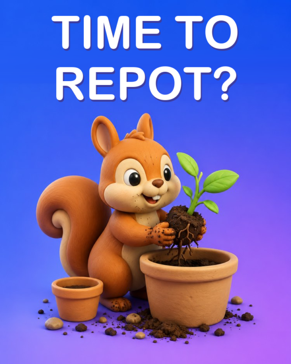 Repotting: When and How to Do It with AI