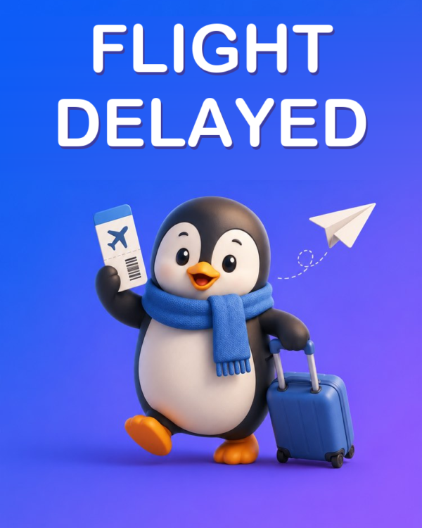 Delayed or Cancelled Flight: Your Rights