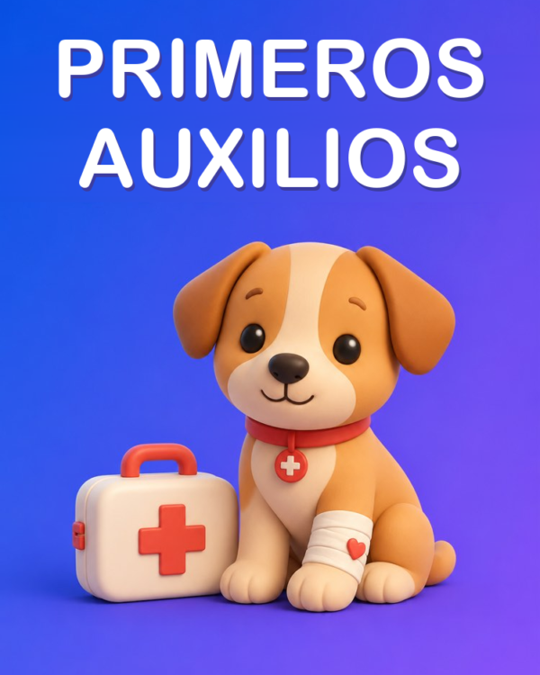 Primeros Auxilios y Urgencias de la Mascota con IA