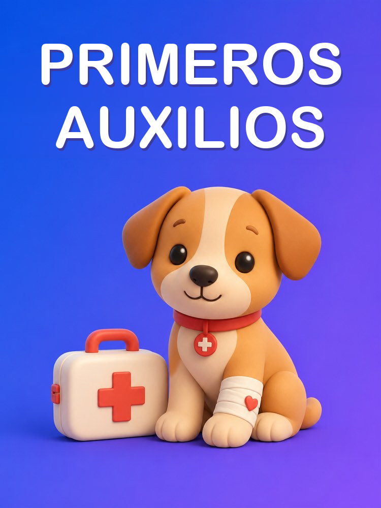 Primeros Auxilios y Urgencias de la Mascota con IA