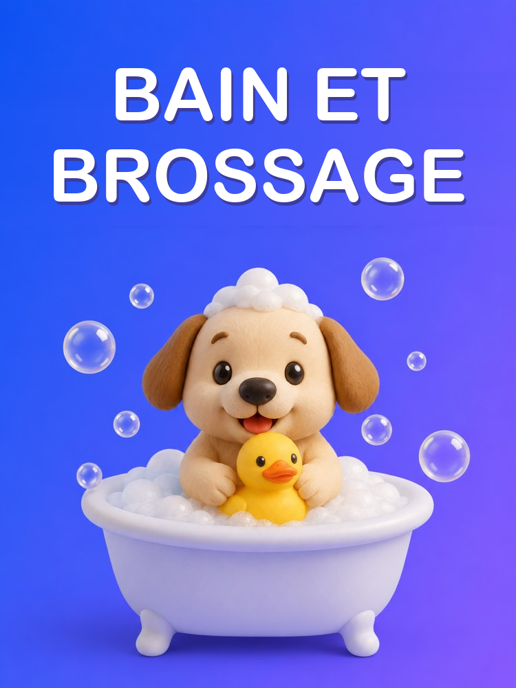 Bain, Brossage et Toilettage de l’Animal à la Maison