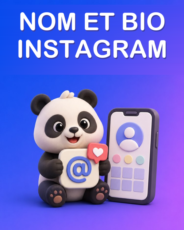 Nom et bio d'un profil professionnel sur Instagram