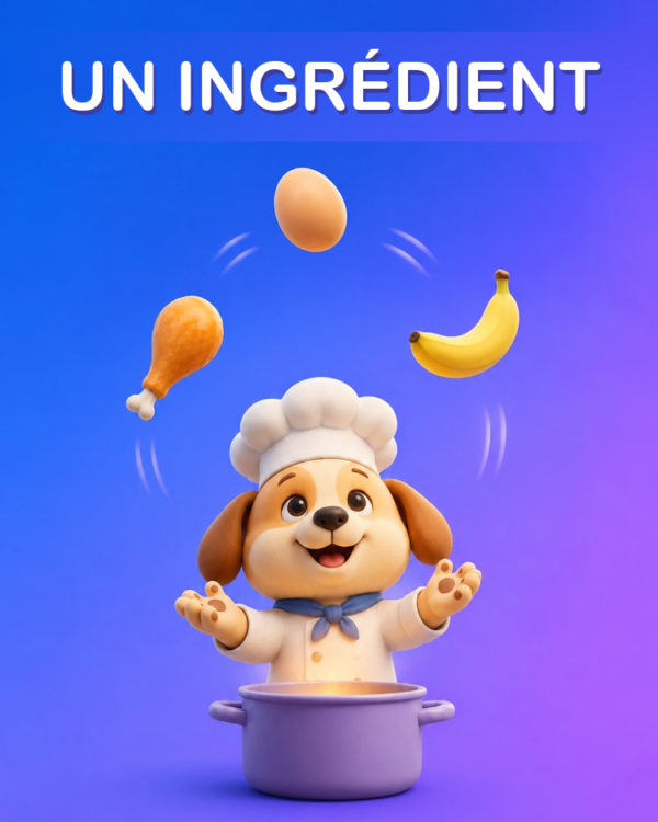 Que Cuisiner avec un Seul Ingrédient avec l’IA
