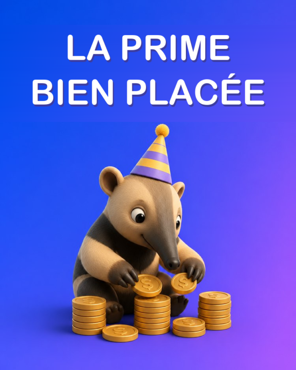 Que Faire de son Treizième Mois et de sa Prime