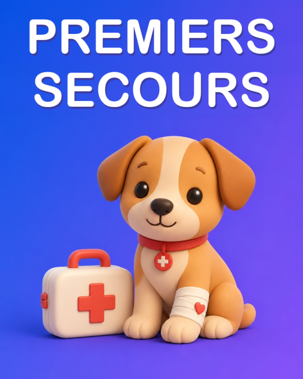Premiers Secours et Urgences de l’Animal, avec l’IA