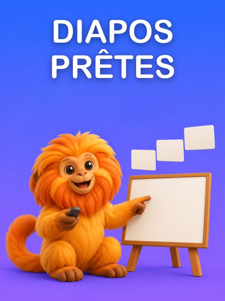 Diapos Prêtes, avec Quoi Dire sur Chacune