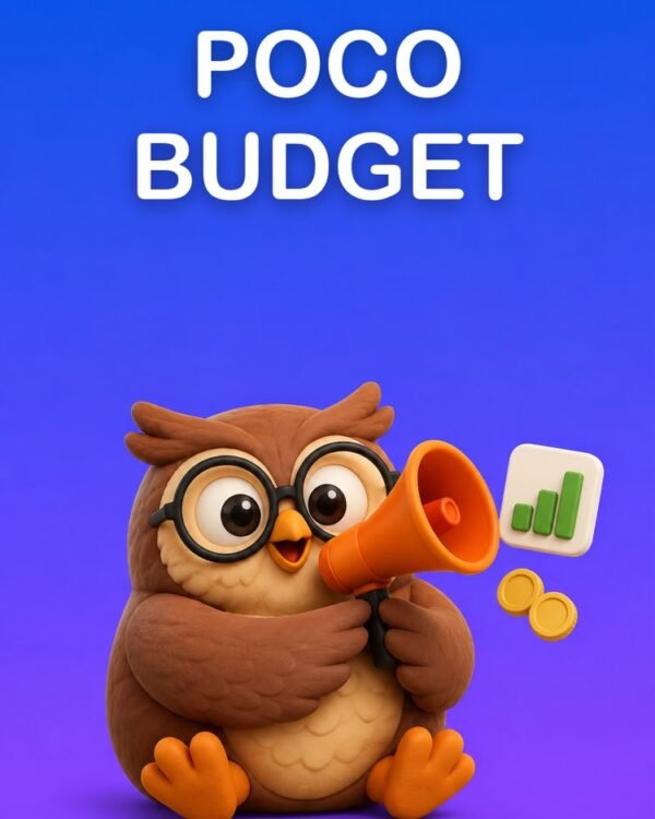 Campagna di Annunci senza Bruciare il Budget