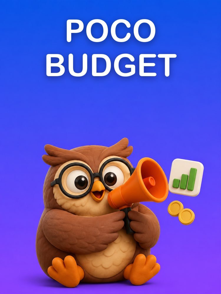 Campagna di Annunci senza Bruciare il Budget