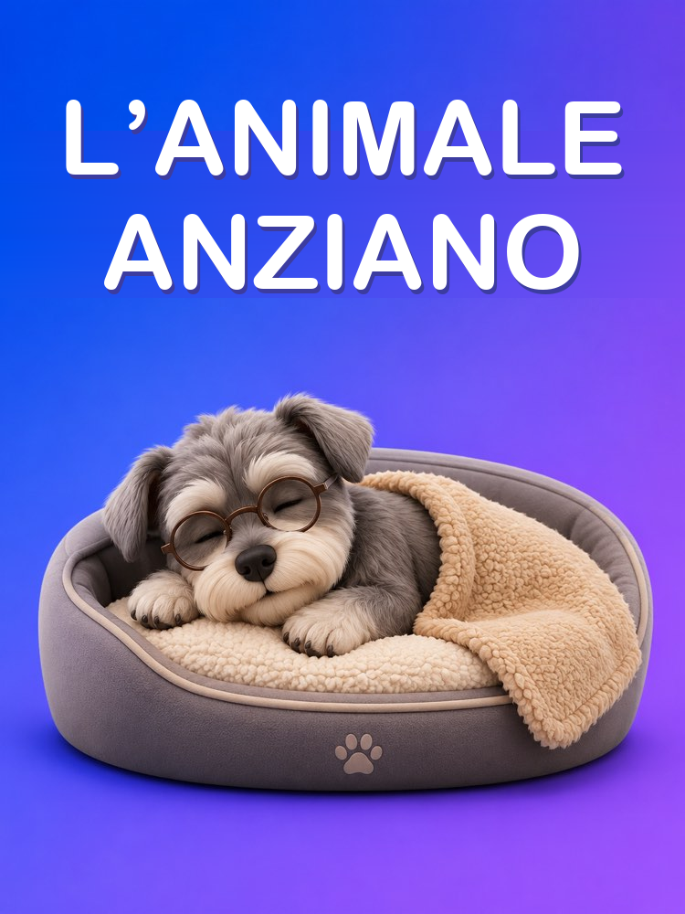 Prendersi Cura di un Animale Anziano ogni Giorno