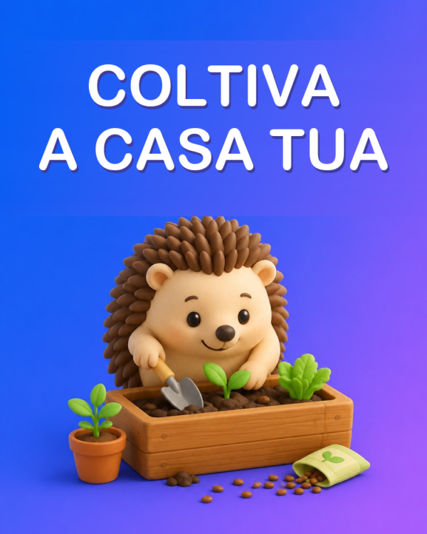 Crea un Orto in Casa da Zero
