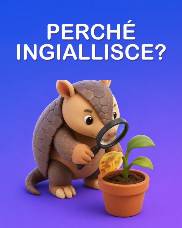 Perché la tua Pianta Ingiallisce? Scoprilo con l’IA