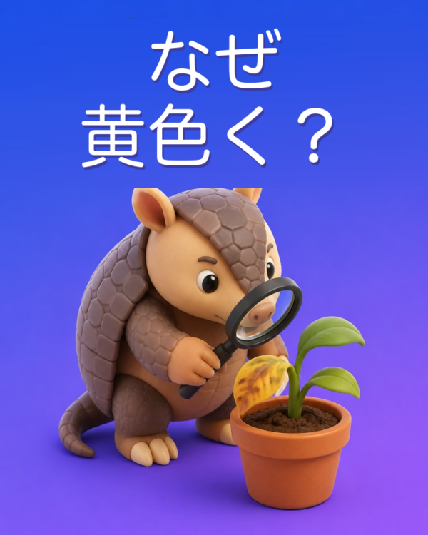 なぜ葉が黄色くなるのかをAIで突き止める
