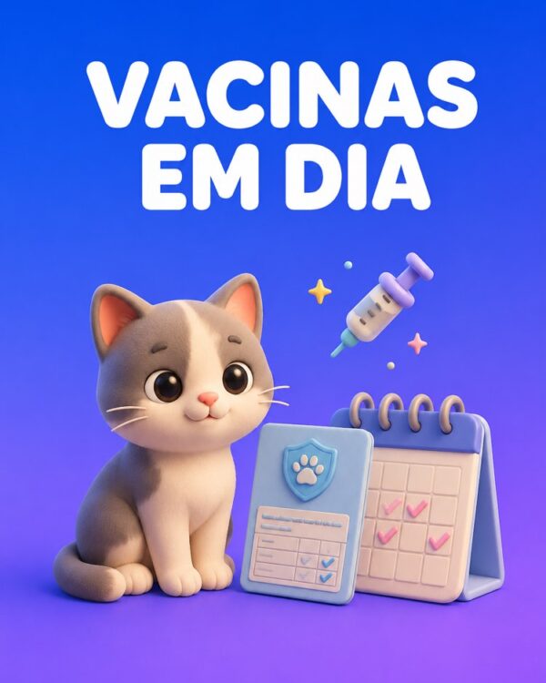 Capa ilustrada do prompt Organizador de Vacinas, Vermífugo e Idas ao Veterinário