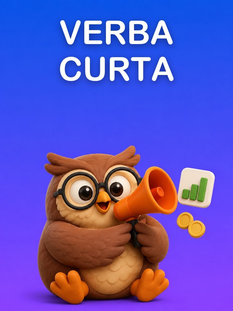 Campanha de Anúncios sem Queimar a Verba