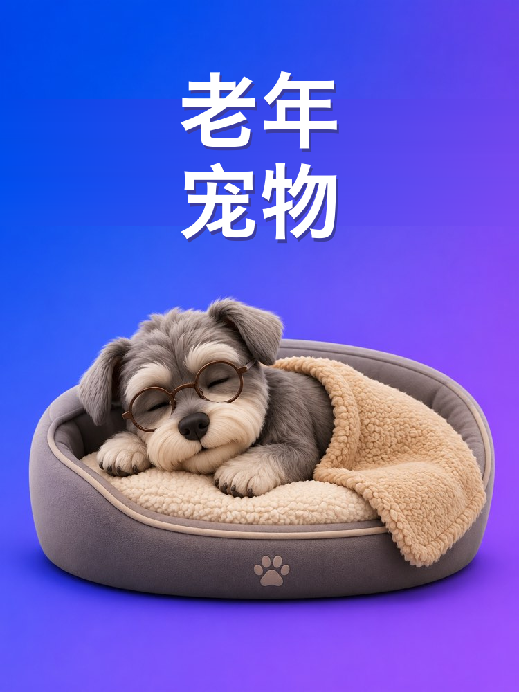 老年宠物的照料与生活调整(AI提示词)